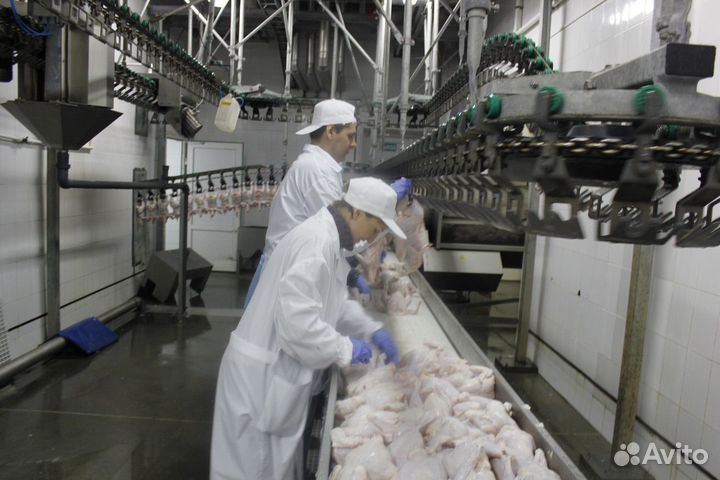 Упаковщик на куриную фабрику(выплаты ежедневно)