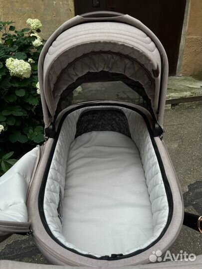 Коляска Carello Epica 2 в 1