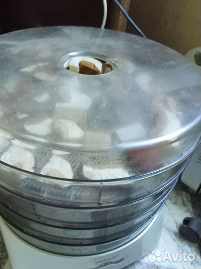 Сушеные грибы