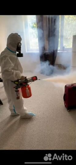 Уничтожение клопов, тараканов. Обработка участков
