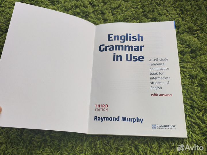 English grammar in use