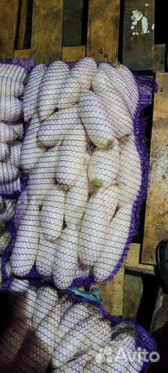 Мойка овощей