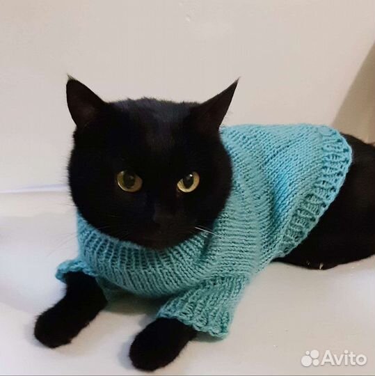 Одежда для животных ручная работа