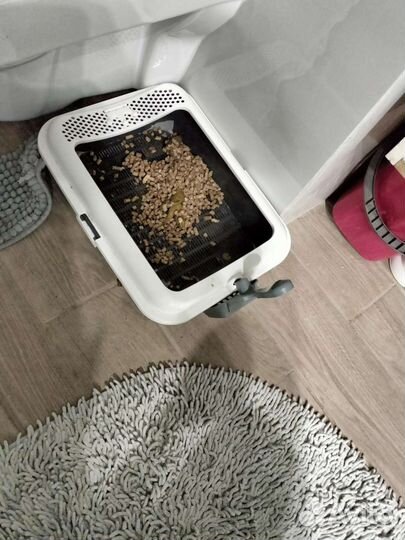 Лоток для кошки с совком