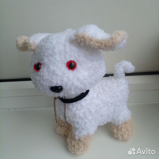 Собачки и кошечки