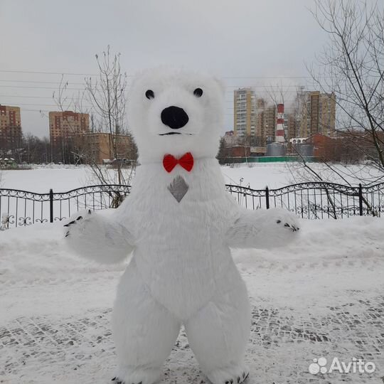 Белый Мишка, Чебурашка на поздравление