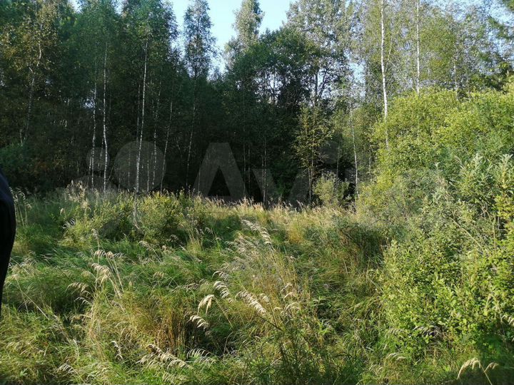 Участок 1,6 га (СНТ, ДНП)