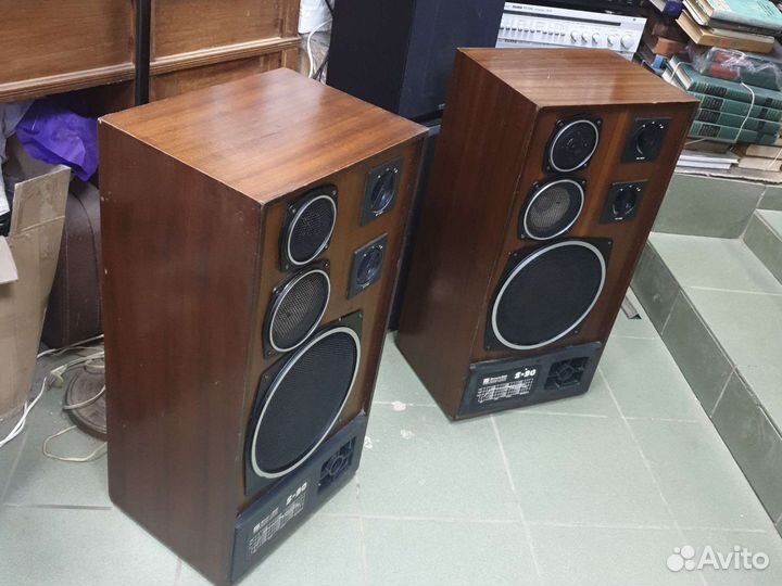 Колонки радиотехника s90 (35aас-012)