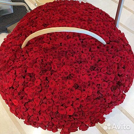 1001 роза 101 роза 501 роза Цветы Доставка