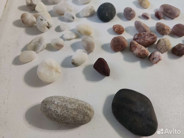 Камни с берега Черного моря у г. Сочи (115 шт.)