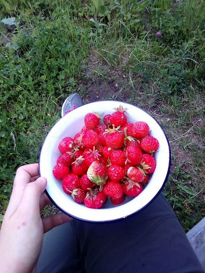 Дача 20 м² на участке 6 сот.