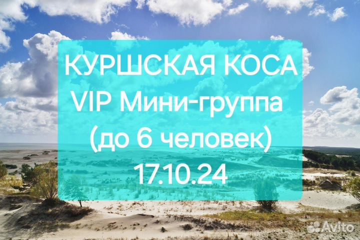 Сборная мини-группа. Куршская коса 17.10.24