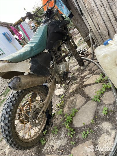 Ирбис ттр 250