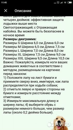 Тапочки собачке