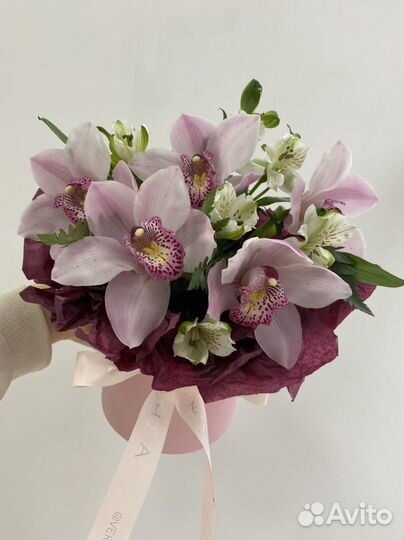 Орхидеи в коробке