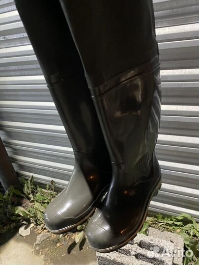 Болотники новые