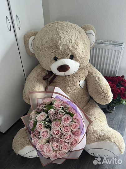 Плюшевый медведь новый