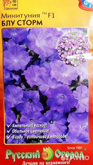 Петунии-Минитунии 