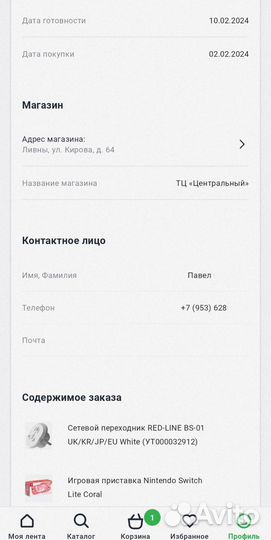 Nintendo switch lite