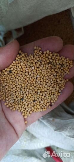 Чиа, лён, горчица Семена