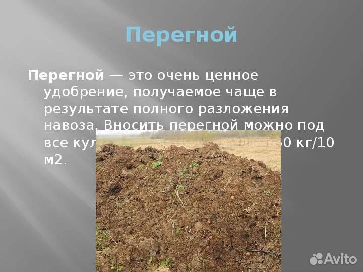 Чернозем перегной