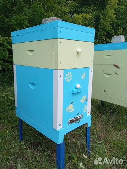 Пчелосемьи пчелопакеты