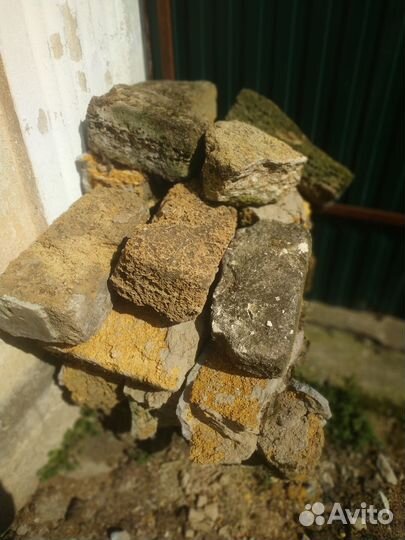 Камень ракушечник