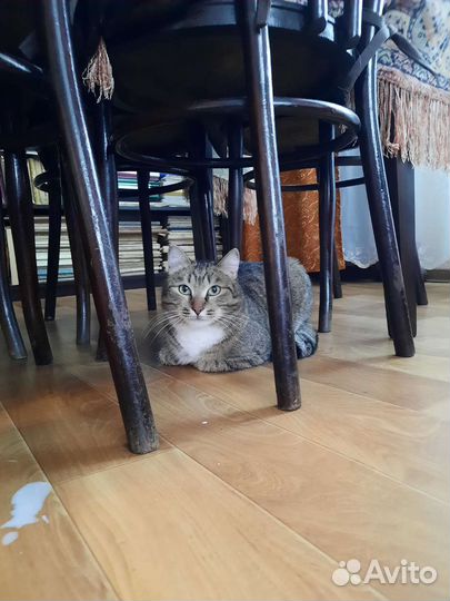 Европейская