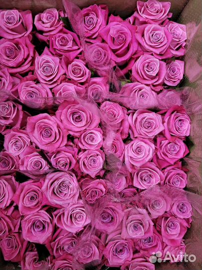 Розы оптом