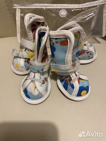 Обувь для собак кеды