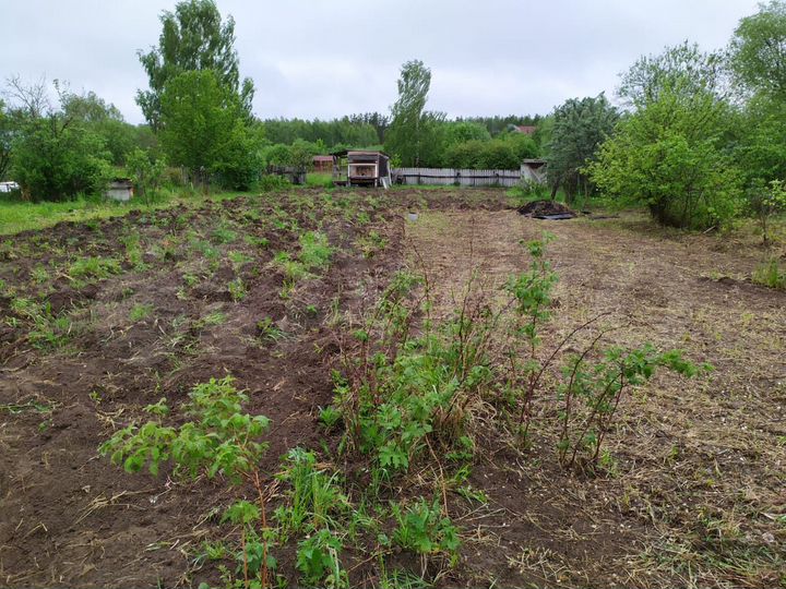 Участок 10 сот. (СНТ, ДНП)