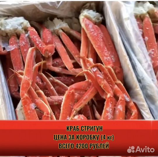 Клешни краба стригуна