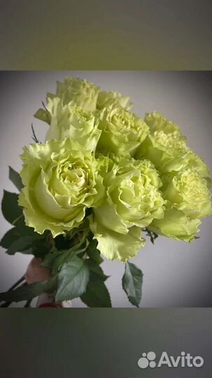 Цветы розы букет