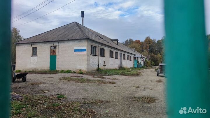 Животноводческая ферма