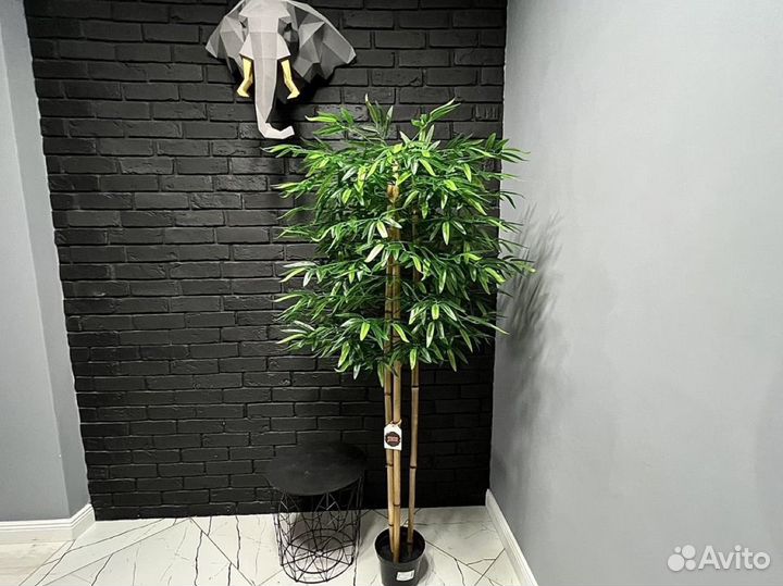 Бамбук искусственный, искусственные деревья Фикус