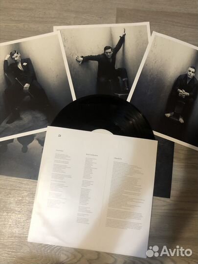 Виниловые пластинки rammstein