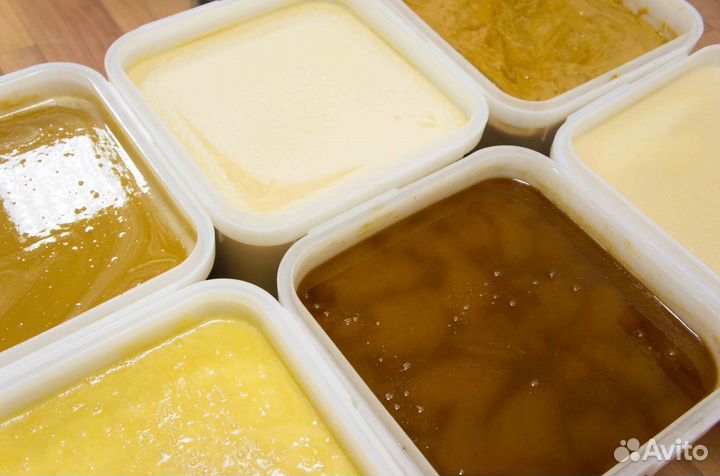 Мед натуральный из Алтая опт