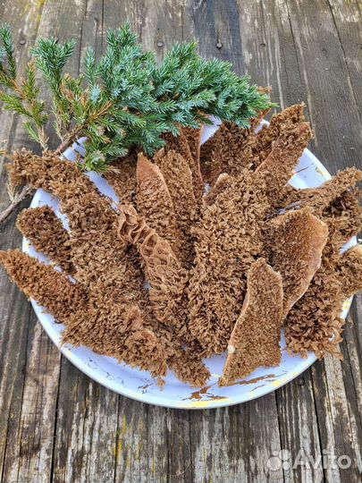Лакомства для собак сушеные