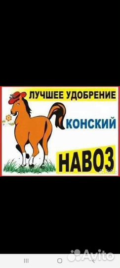 Конский перегной