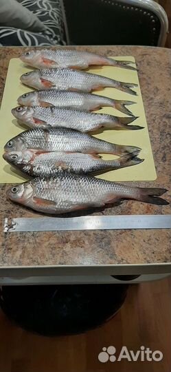 Продукты питания