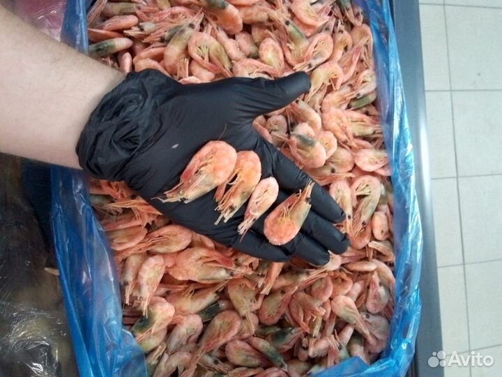 Креветка северная 250