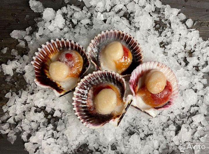 Гребешок морской на створке