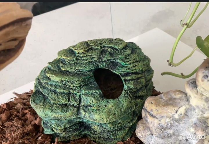 Влажная камера для террариума