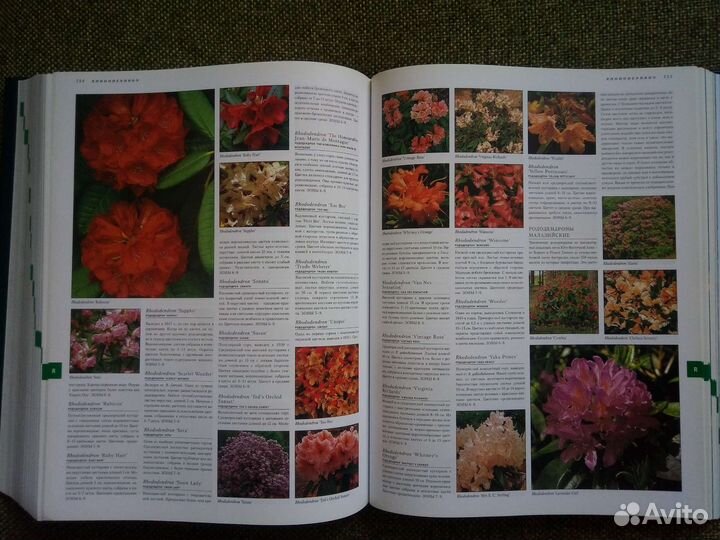 Книга 10 000 Растений Konemann