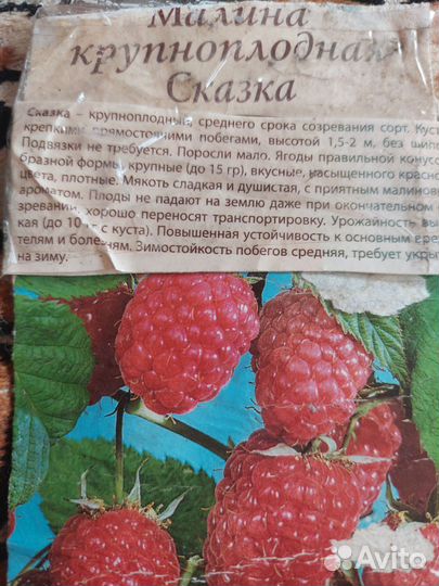Малина Сказка