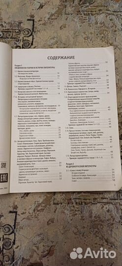 Егэ по литературе. 2016г