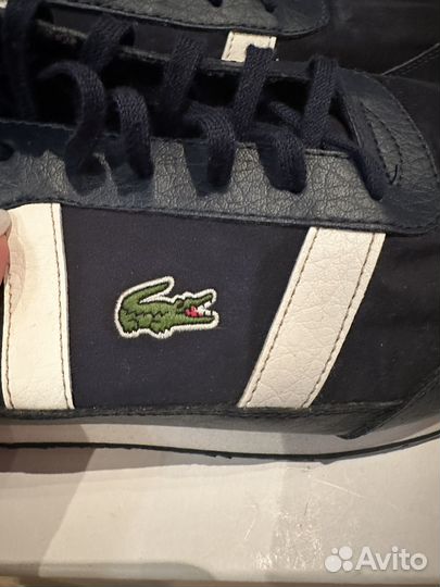 Кроссовки мужские Lacoste