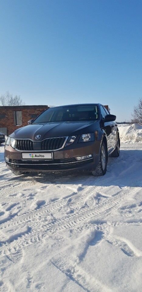 Skoda Octavia: фото владельца