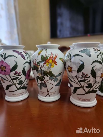 Portmeirion botanic garden