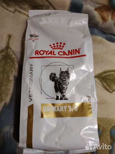 Корм для кошек royal canin urinary
